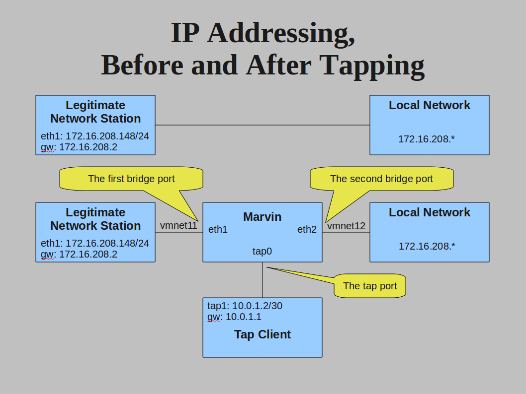 Links Before and After Tapping